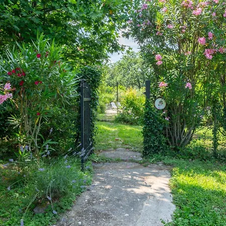 Villa 30ciga